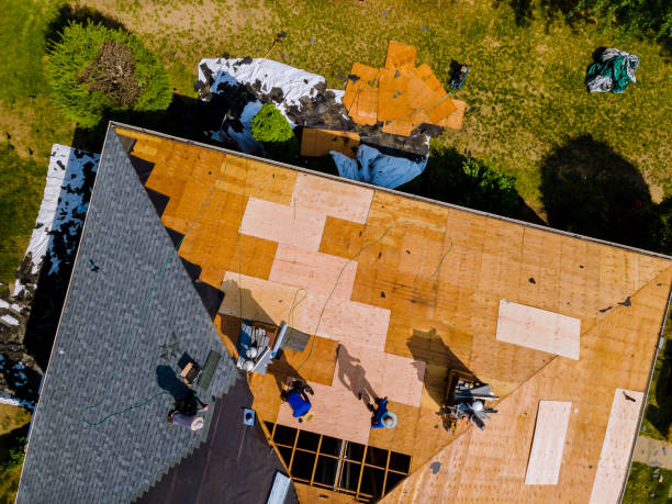 Best Roof Waterproofing Services  in Meadow Oaks, FL